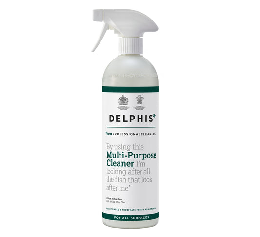 Delphis Eco Multi-Purpose Cleaner 700ml