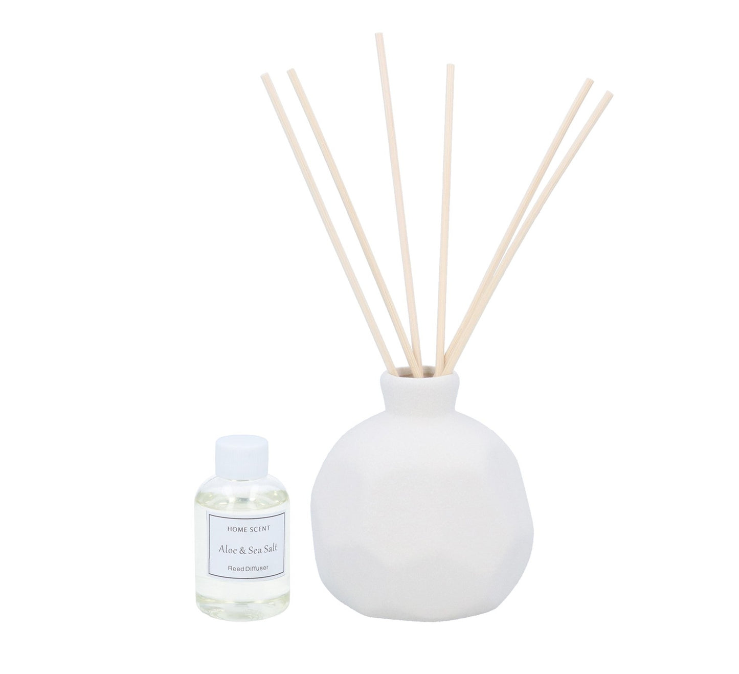 [Seasonal] Gisela Graham Aloe & Sea Salt Boxed Ceramic Reed Diffuser
