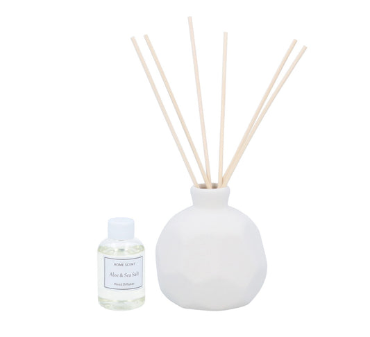 [Seasonal] Gisela Graham Aloe & Sea Salt Boxed Ceramic Reed Diffuser