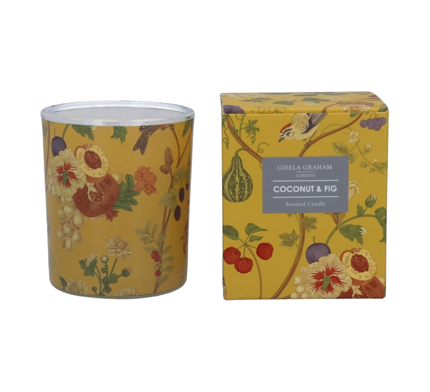 Gisela Graham Coconut & Fig Birds & Fruit Boxed Scented Candle