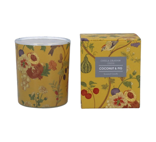 Gisela Graham Coconut & Fig Birds & Fruit Boxed Scented Candle