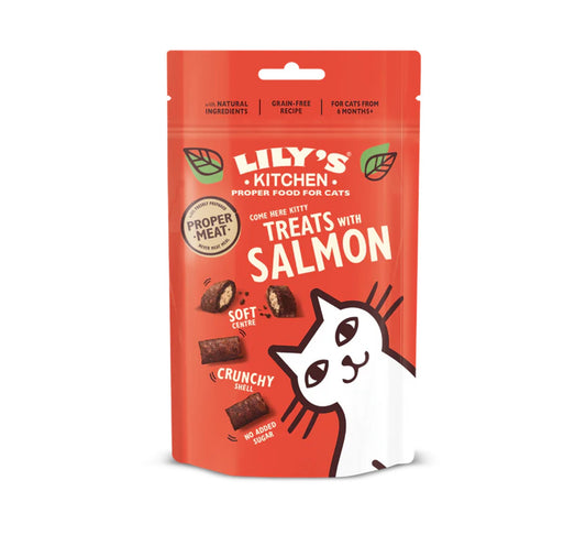 Lily's Kitchen Treats with Salmon 60g